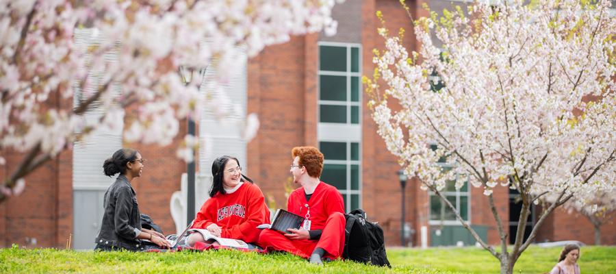 在一个美好的春日，学生们坐在草坪上